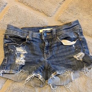 Eunina Distressed Blue Jean Shorts